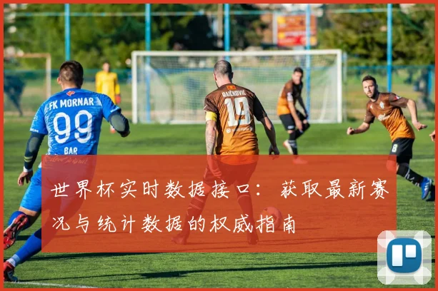 世界杯实时数据接口：获取最新赛况与统计数据的权威指南