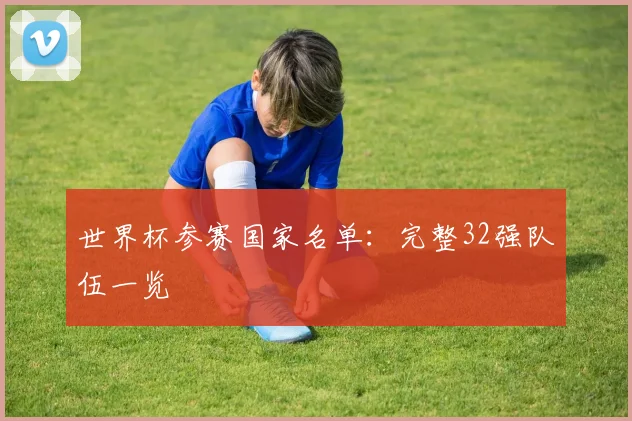 世界杯参赛国家名单:完整32强队伍一览