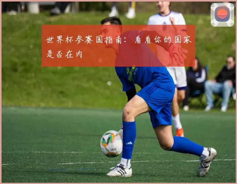 世界杯参赛国指南:看看你的国家是否在内