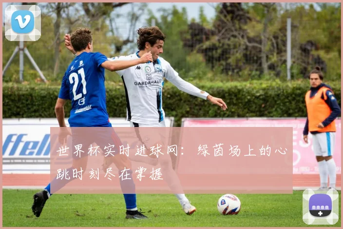 世界杯实时进球网：绿茵场上的心跳时刻尽在掌握