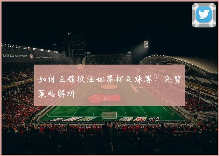 如何正确投注世界杯足球赛?完整策略解析