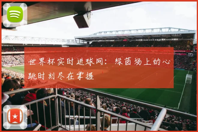 世界杯实时进球网：绿茵场上的心跳时刻尽在掌握