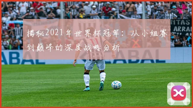 揭秘2021年世界杯冠军：从小组赛到巅峰的深度战略分析