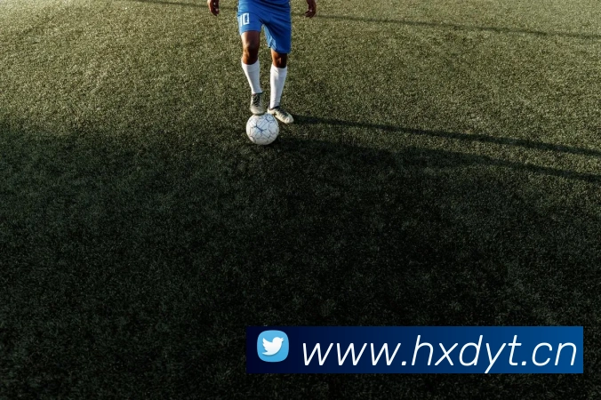 云开体app官网入口服务体系